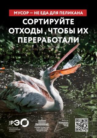 Чем опасен мусор для диких животных?.
